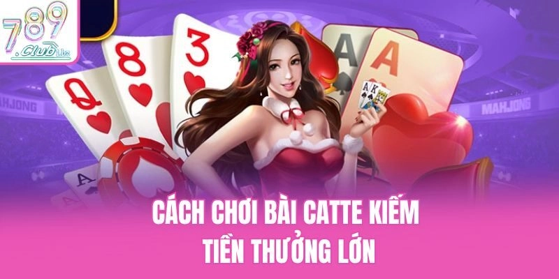 Cách chơi bài Catte kiếm tiền thưởng lớn